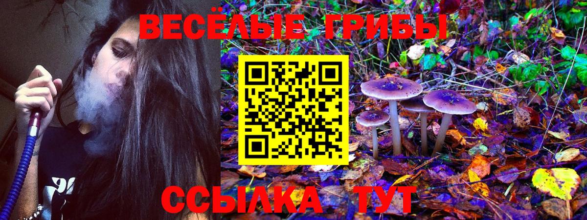 Галлюциногенные грибы Cubensis  Вход с VPN  Нововоронеж  Галлюциногенные грибы GOLDEN TEACHER 