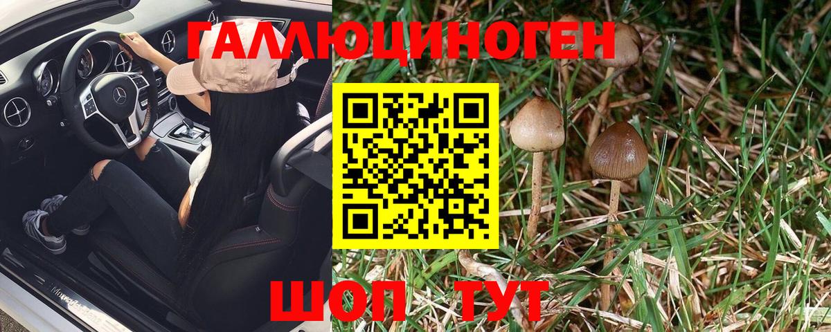 Псилоцибиновые грибы мицелий Нововоронеж